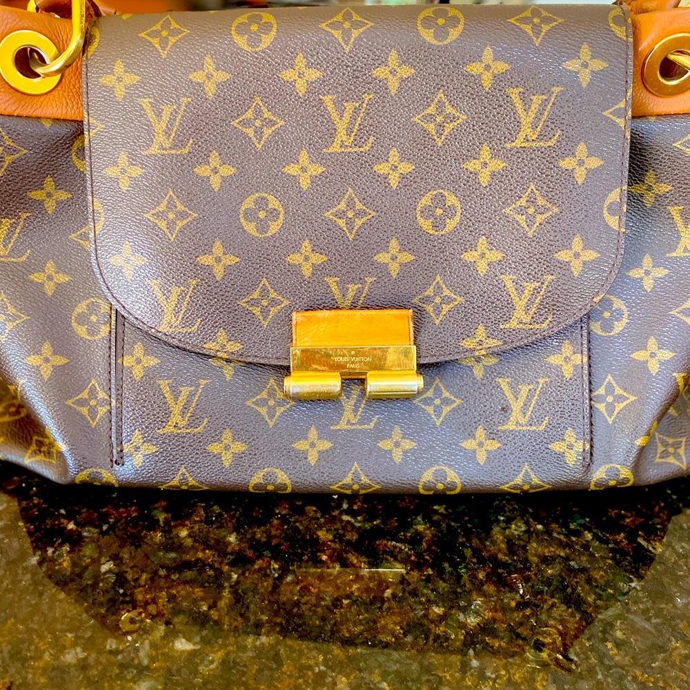 Louis Vuitton monogram Olympe purse